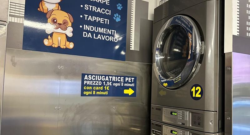 Lavatrice e asciugatrice per animali domestici in via Cesare Costa